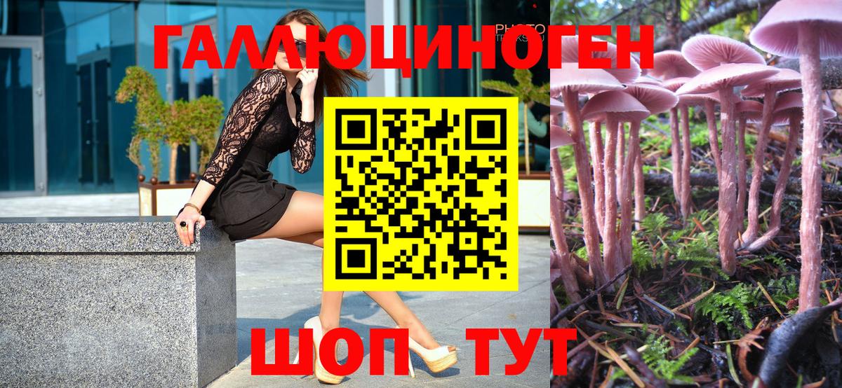 Псилоцибиновые грибы GOLDEN TEACHER  Галлюциногенные грибы GOLDEN TEACHER  Шумерля  Вход с VPN 